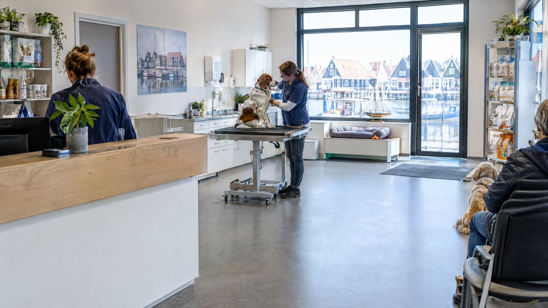 Een dierenarts onderzoekt een hond op de behandeltafel in een lichte praktijkruimte met uitzicht op het water.